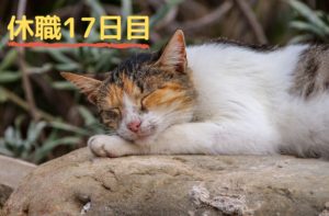 休職日記-17日目-